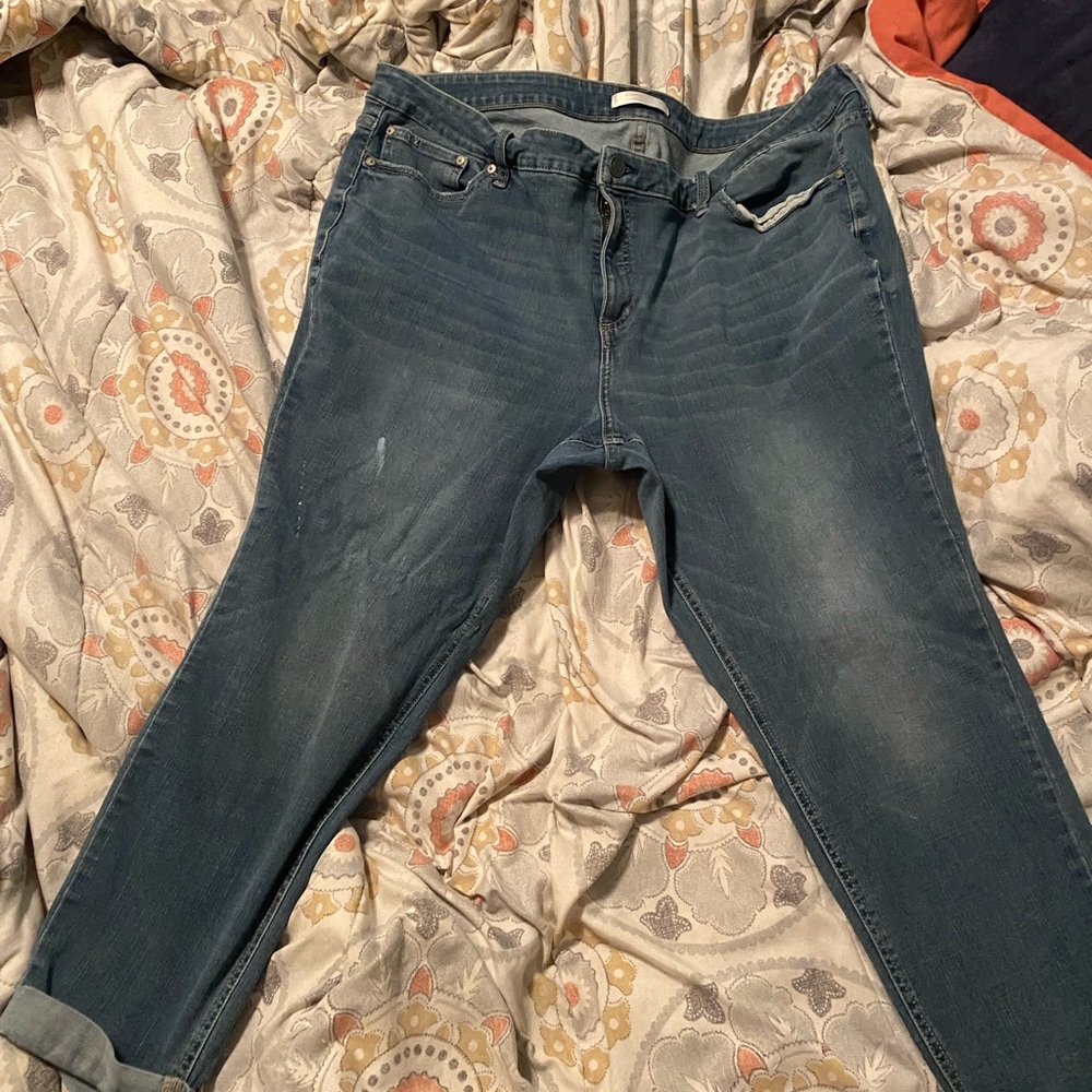 Lauren Conrad 22w Plus Size Jeans